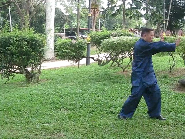 Wu Yu Xiang Style Taijiquan